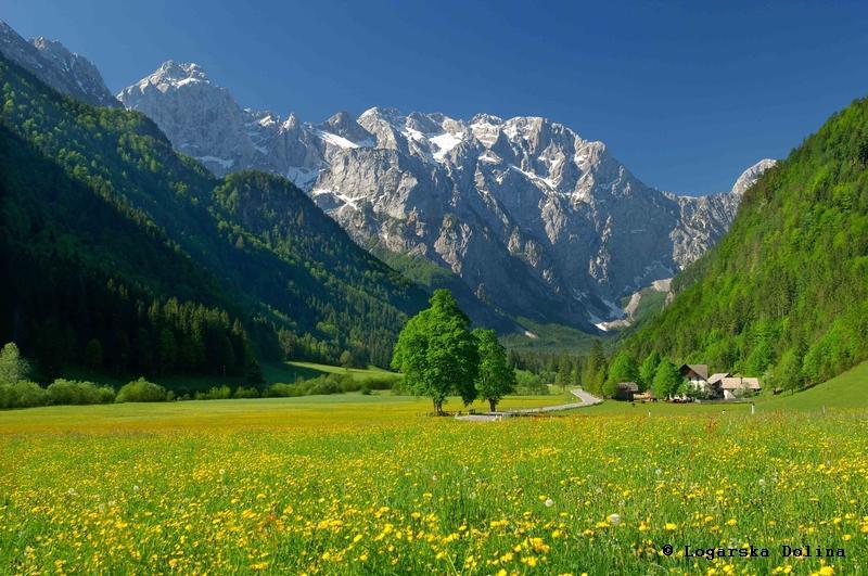Skorianzhof Hotel Eberndorf Екстериор снимка
